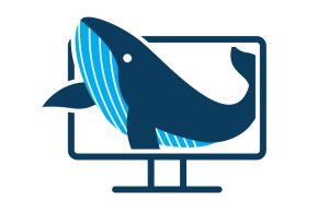 Blue Whale Website Logo